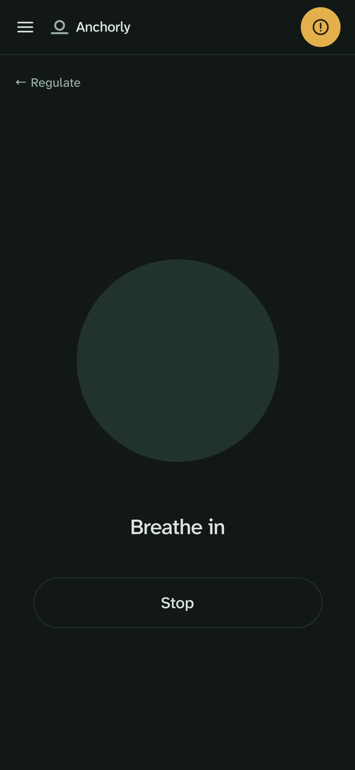 The breathing screen in Anchorly's night theme