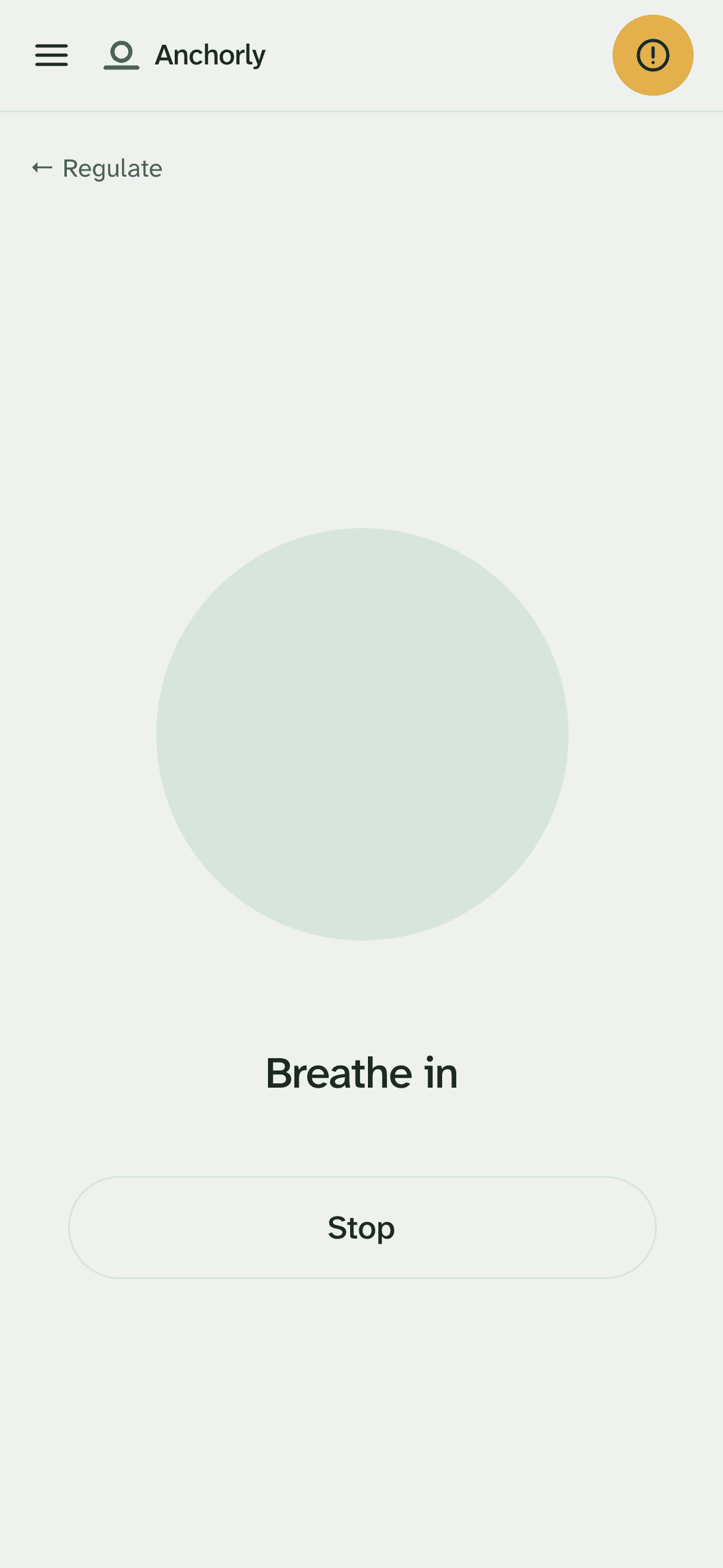 The breathing screen in Anchorly, with a circle that paces each breath